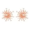 Latelita Cosmic Bang Baguette Cz Stud Earrings Rose Gold 1 Latelita Cosmic Bang Baguette Cz Stud Earrings Rose Gold -Latelitla Store cosmic bang baguette cz stud earrings rose gold 793751