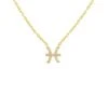 Latelita Diamond Zodiac Necklace Gold Pisces -Latelitla Store diamond zodiac necklace gold pisces 576984
