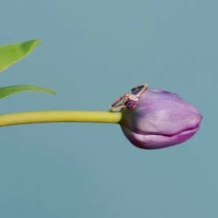 Latelita Ladybird Ring Rosegold -Latelitla Store ladybird ring rosegold 188859